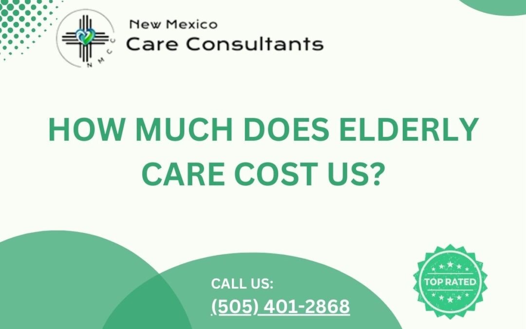 How much does elderly care cost us?